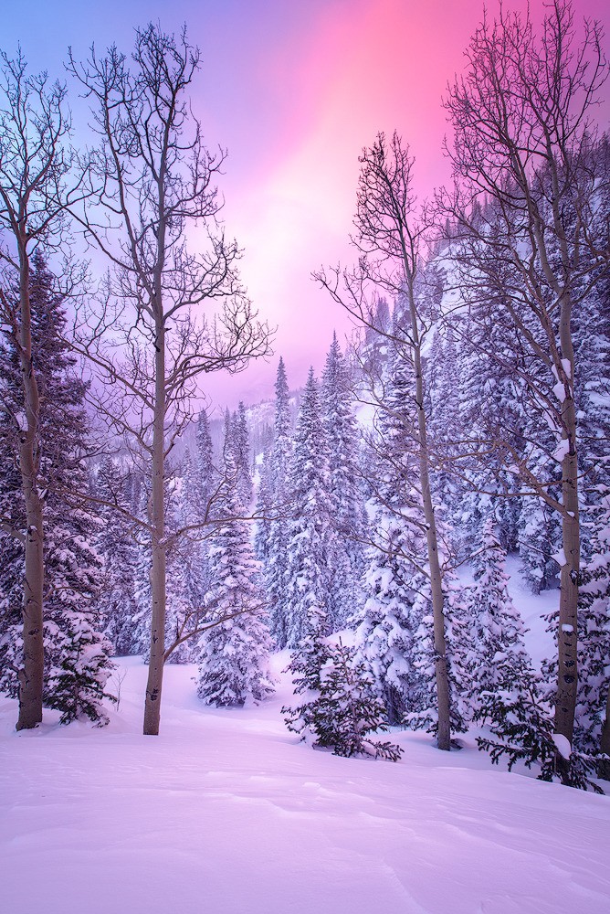 Winter Zima