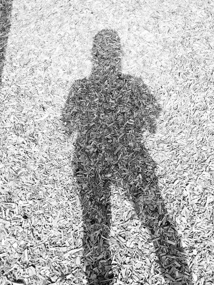 Shadow