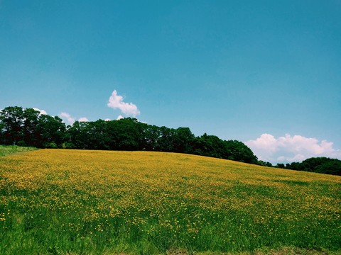 sky