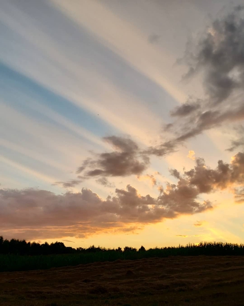 beautiful sunset
