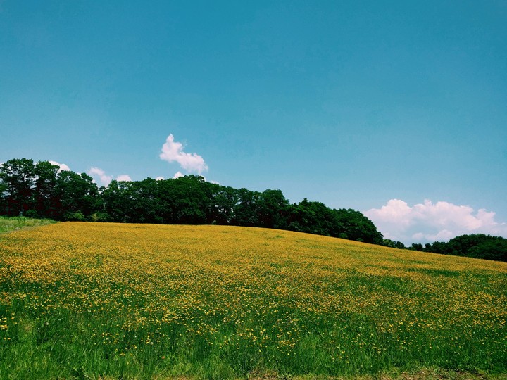 sky