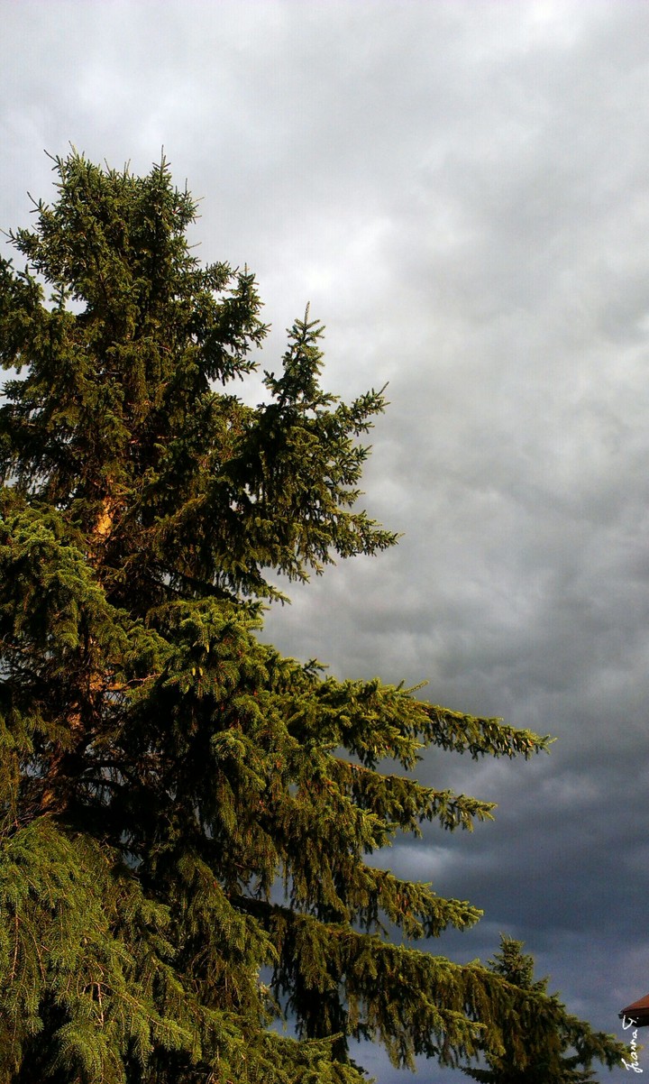 Storm Coming