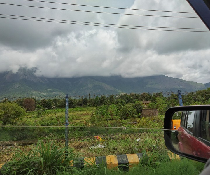 Natural View