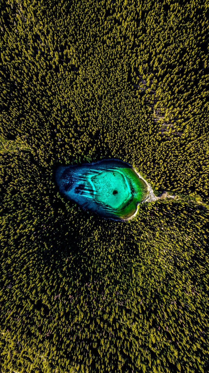 birds view