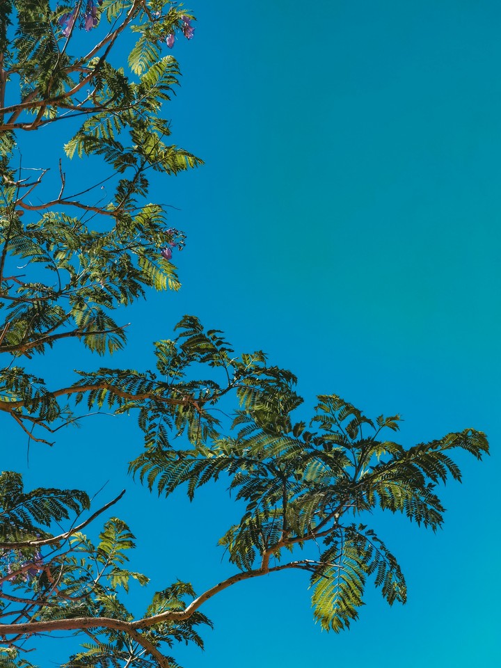 Sky blue