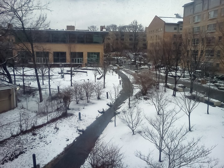Snow day