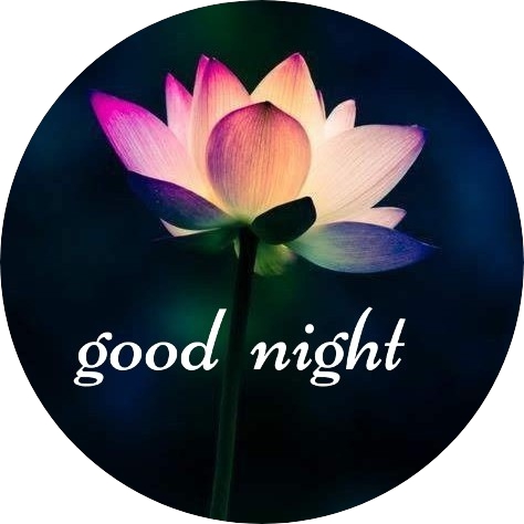 Good Night