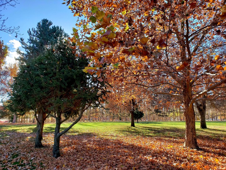 Fall