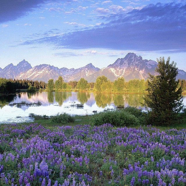 Grand Teton