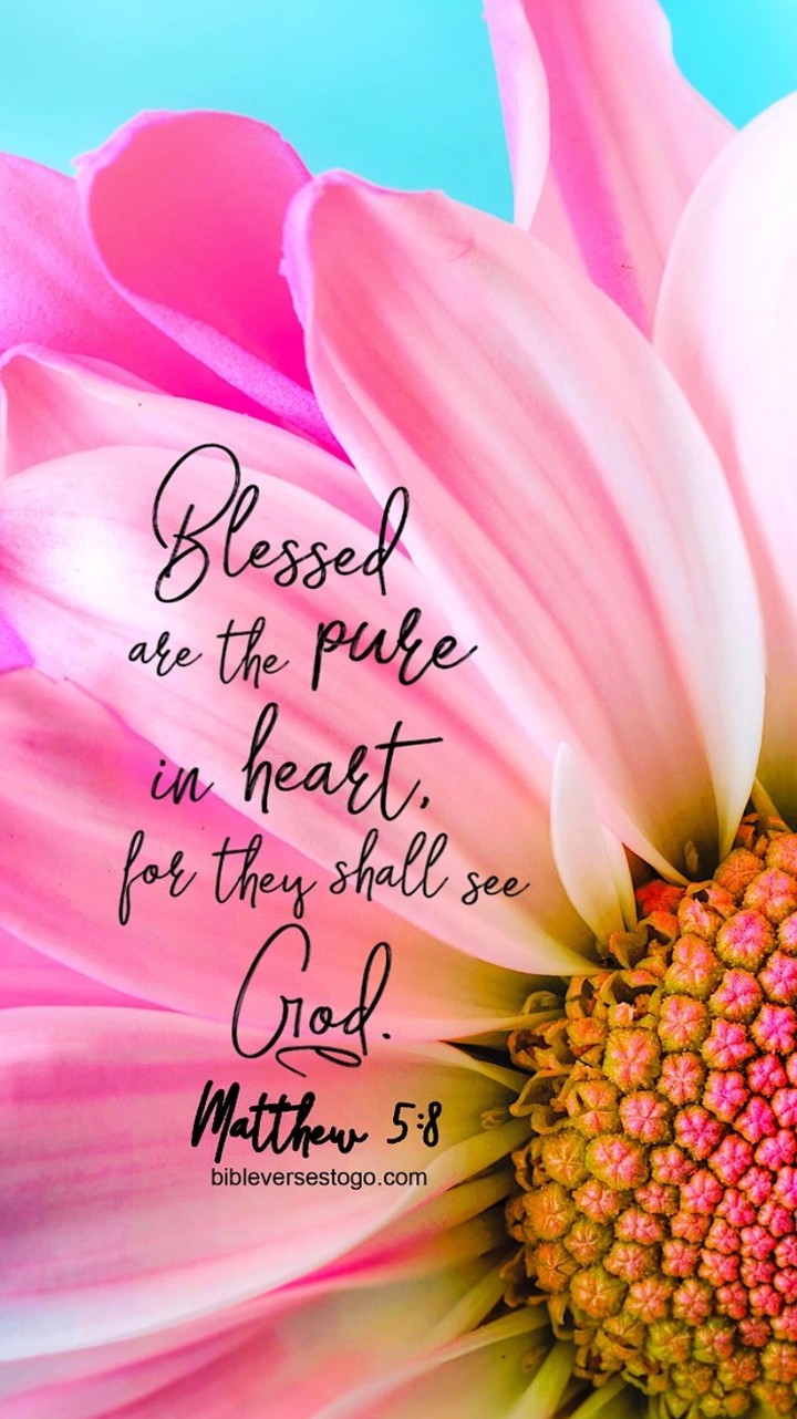 blessed are the pure in heart