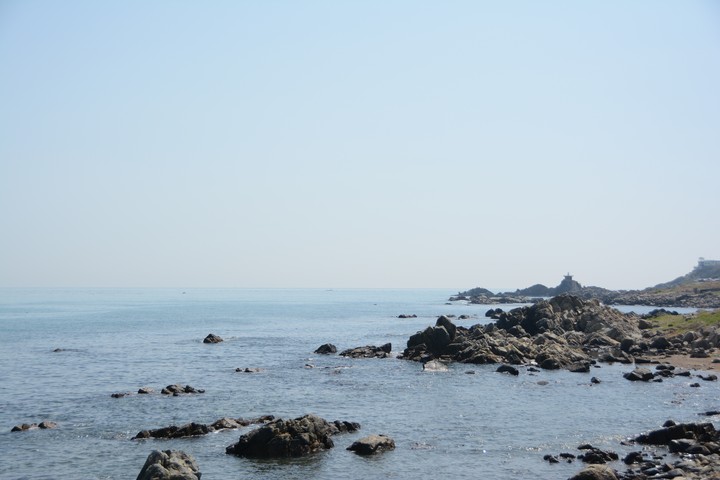 기장이미지