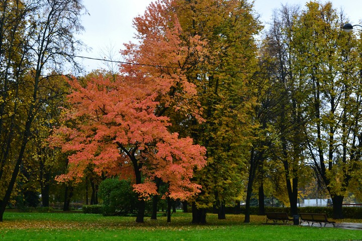Autumn