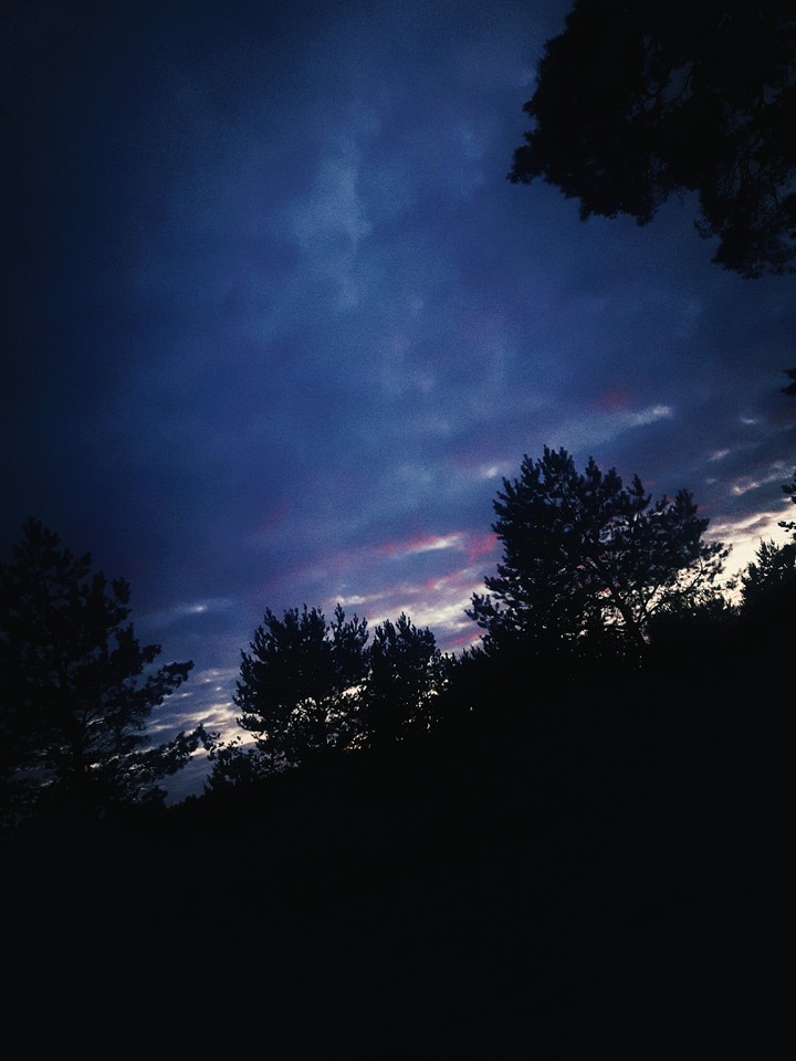Violet Sky