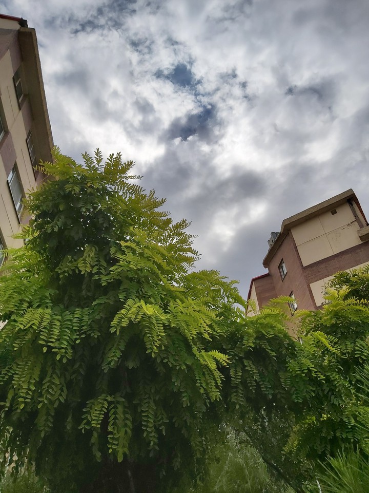 sky