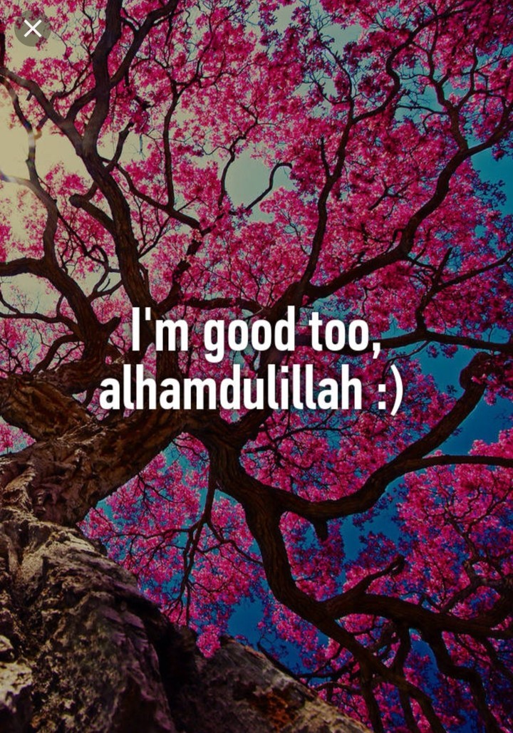 I am good to alhumdulilah