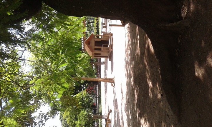 Casinha