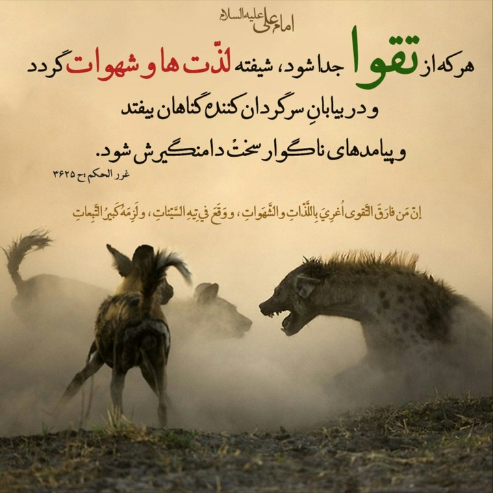 Hadis
