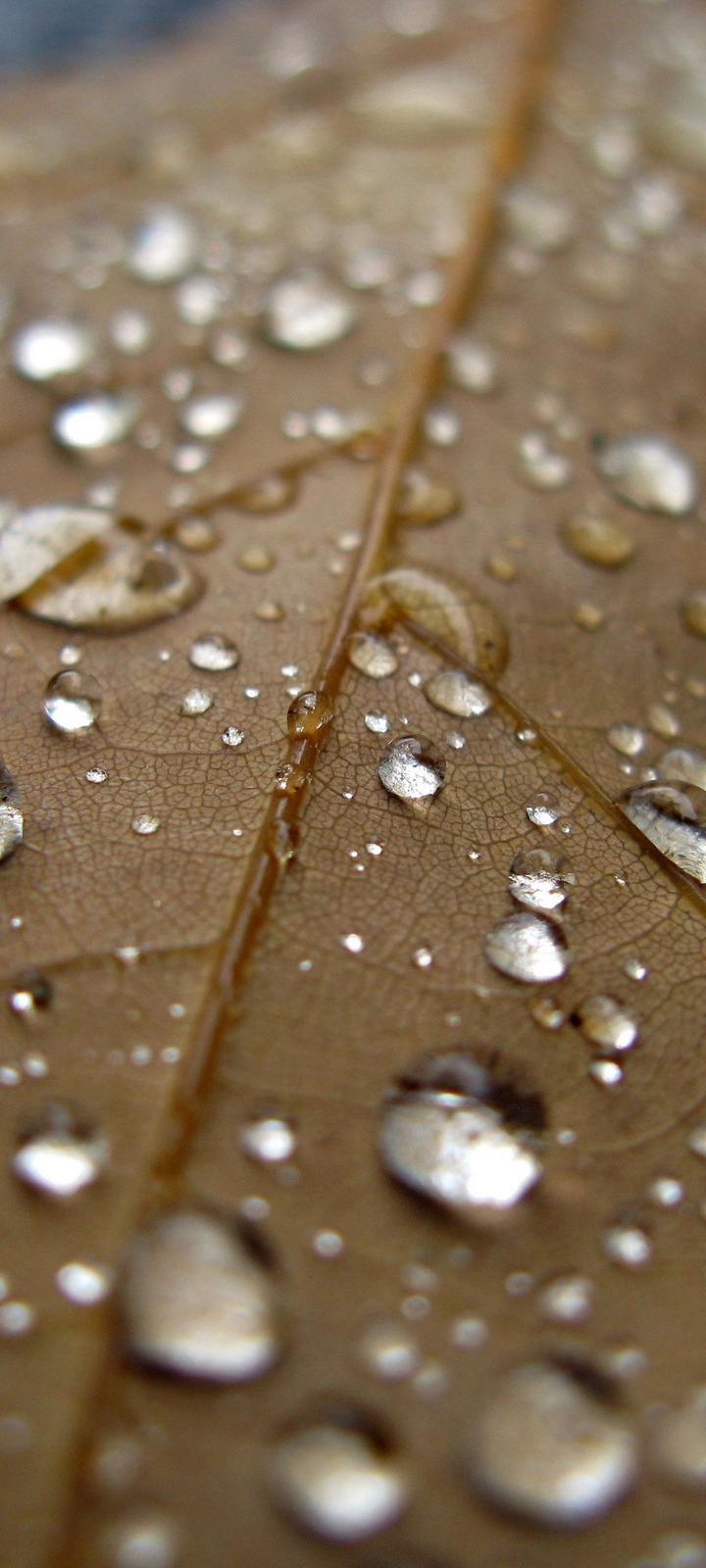 drops