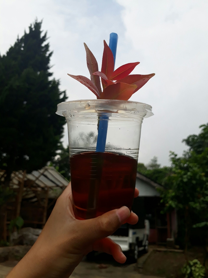 teaa