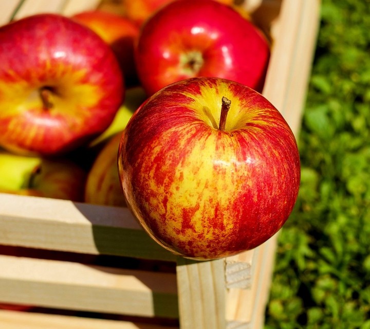 froot