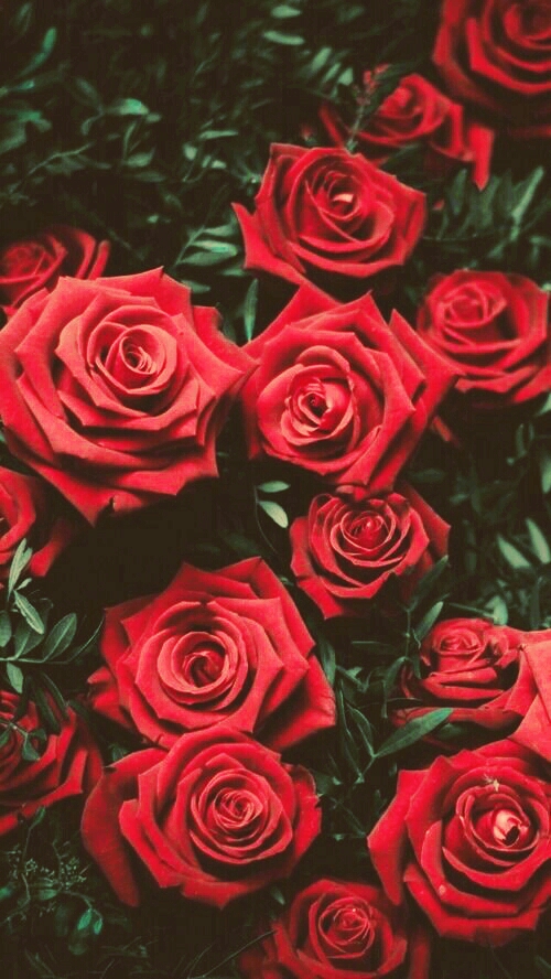 flowers