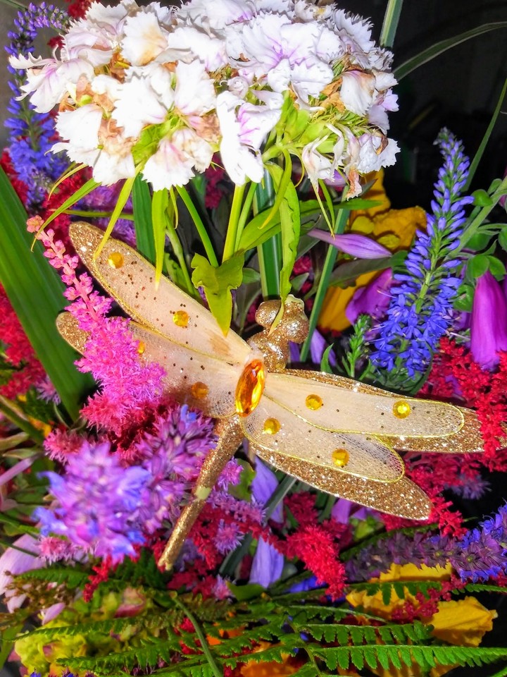 dragon fly