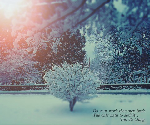 Snow with Tao quote