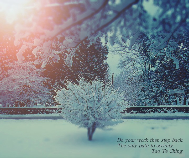 Snow with Tao quote