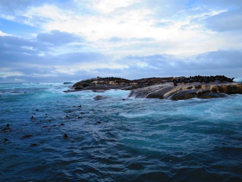 Ocean And An Island