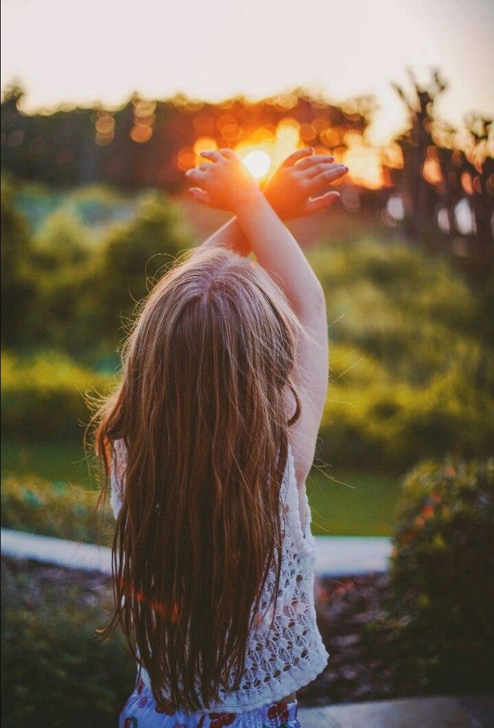 The sun