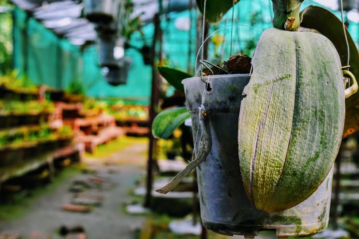 nursery