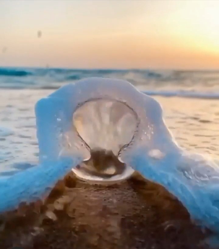 ?