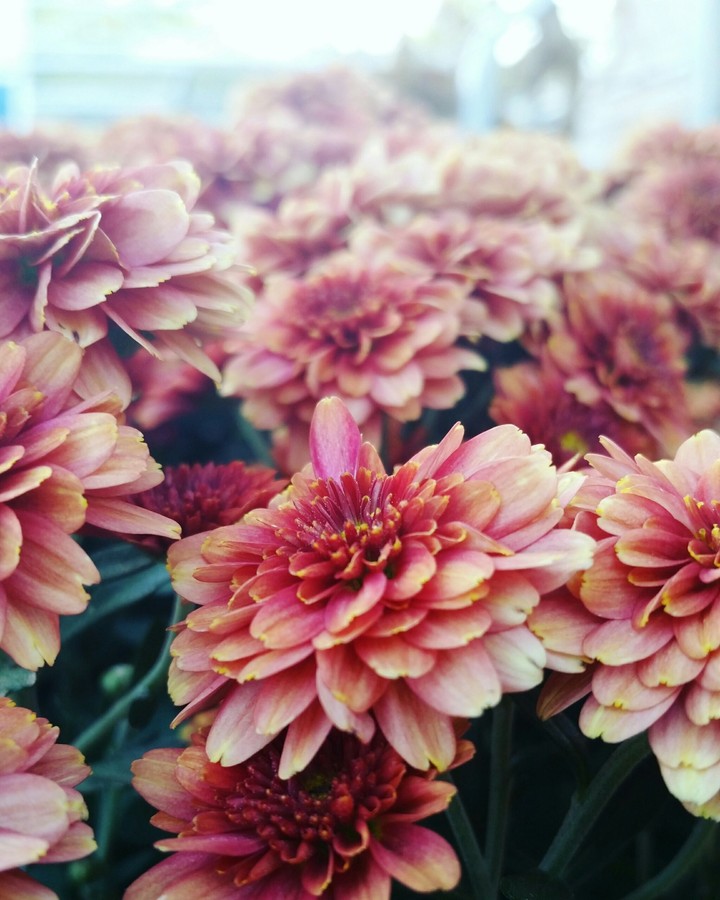 fall flow ♡