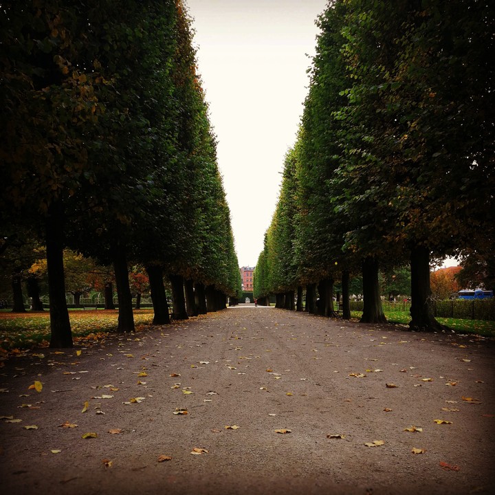 Path