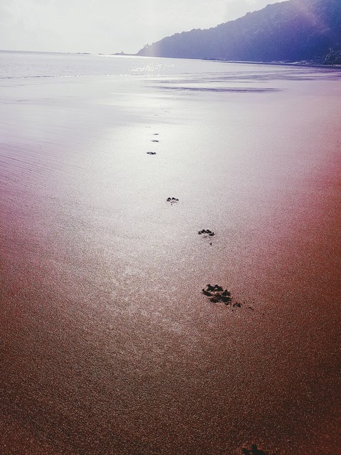 horizon, Sand wallpapers