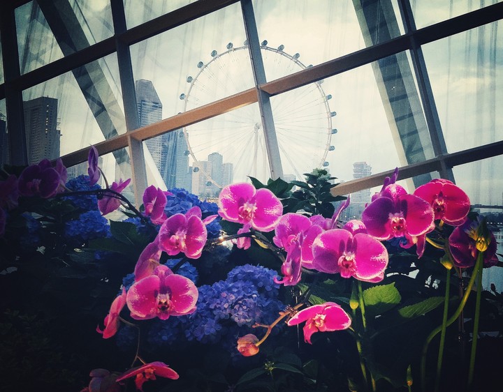 Flowers