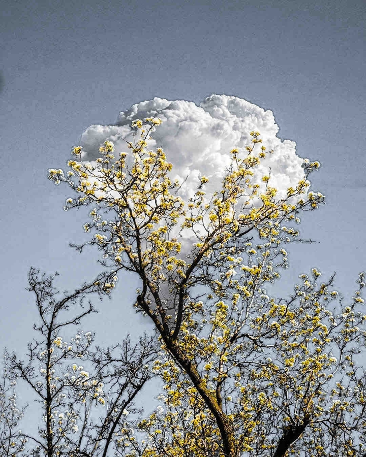 nuclear bomb