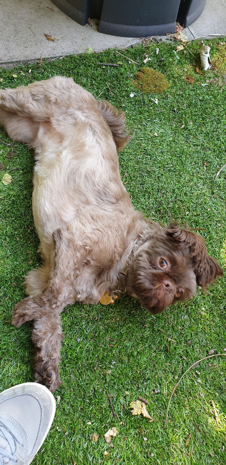 rolling around