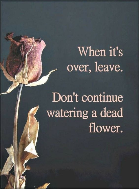 don't continue...