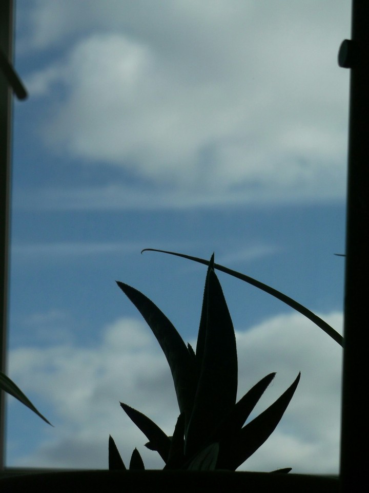 sky