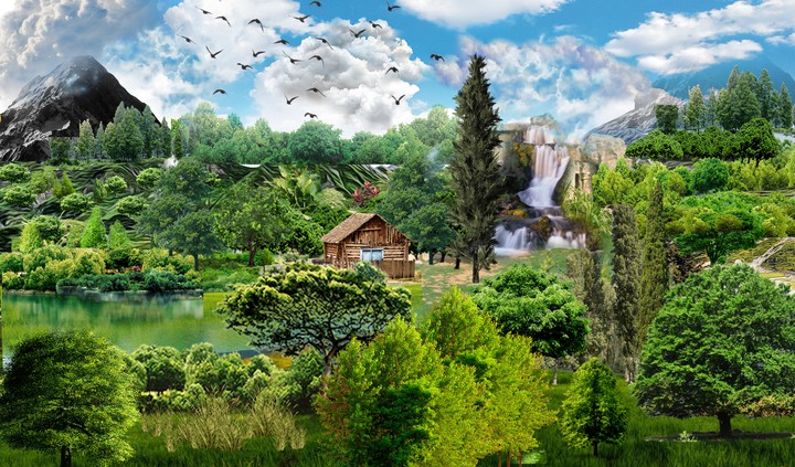 alone in nature
