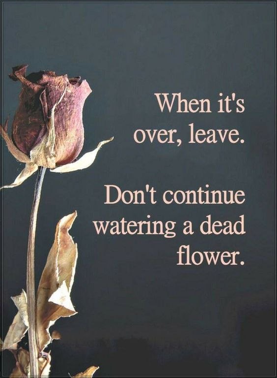 don't continue...