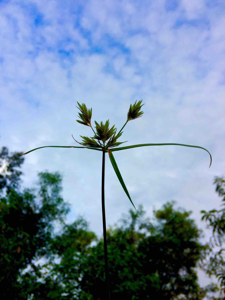 #nature
