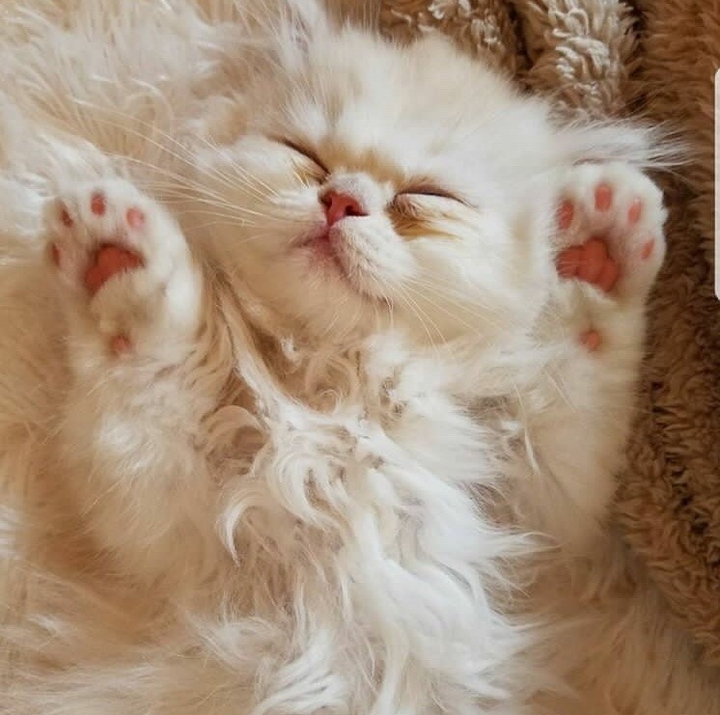 lovely