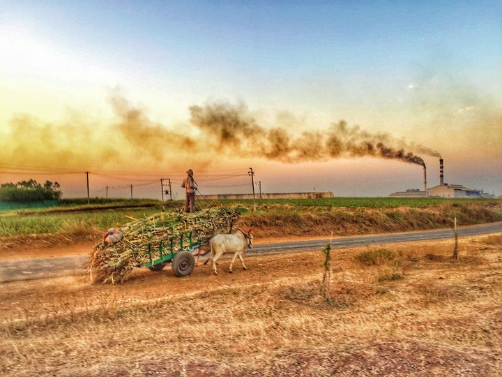 farm
