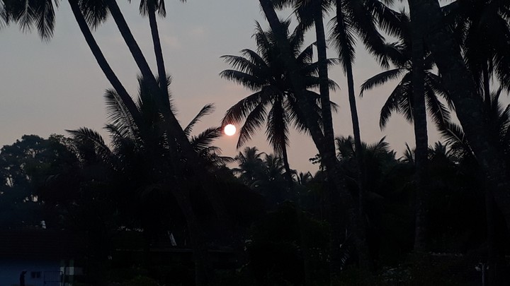 my village
