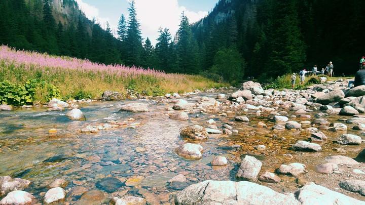 River in mountains