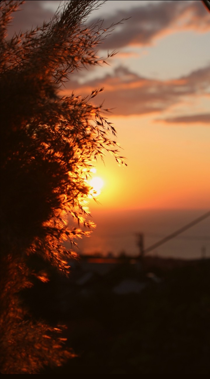 The Evening Sun