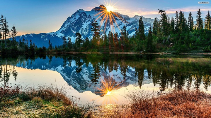 Nature
