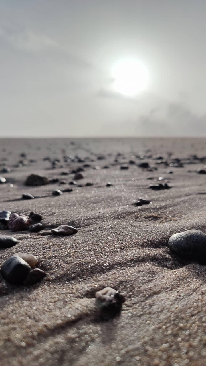 STONE N SUN